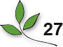 அன்பே தவம் - 27