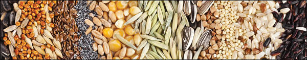 கம்பெனி டிராக்கிங்