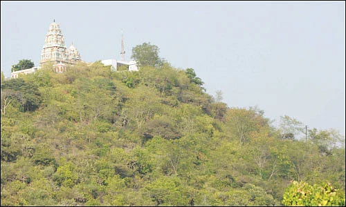 அழகன் குடியிருக்கும் அலகுமலை