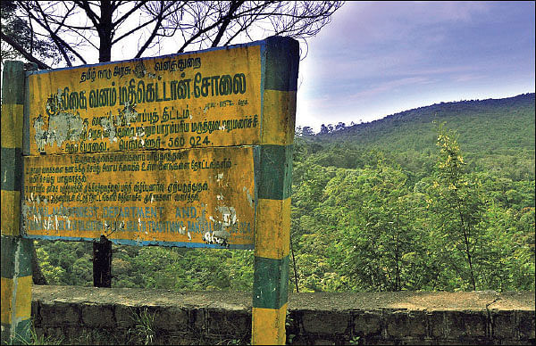 மரம் செய விரும்பு! - 22 - காடுகள் காடுகளாகவே இருக்கட்டும்... மலைகள் மலைகளாகவே இருக்கட்டும்!