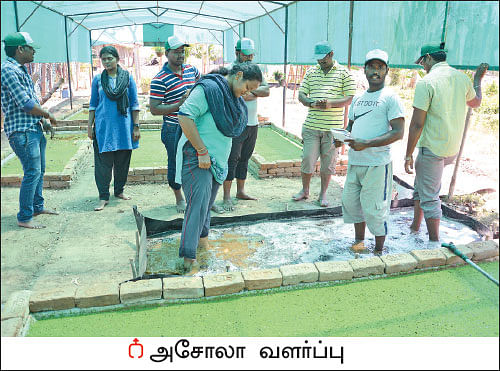 ஒரு நாள் விவசாயி! பருவம் 2 - பண்ணையை நோக்கி பயனுள்ள பயணம்
