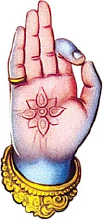 கேள்வி - பதில்