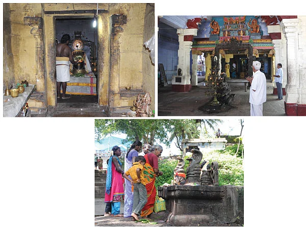விசாகத்தில் தரிசித்தால் விசேஷ பலன் !