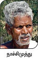 மரங்களை வெட்டும் பொதுப்பணித்துறை...