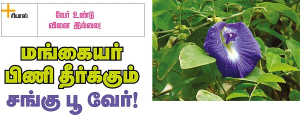 வேர் உண்டு வினை இல்லை!