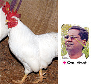 நீங்கள் கேட்டவை