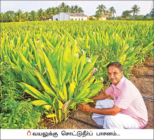 1 ஏக்கர்... 8 மாதங்கள்... ரூ1 லட்சத்து 55 ஆயிரம்... மஞ்சள் கொடுக்கும் மணக்கும் லாபம்!
