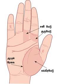 எண்ணும் உணவும்!
