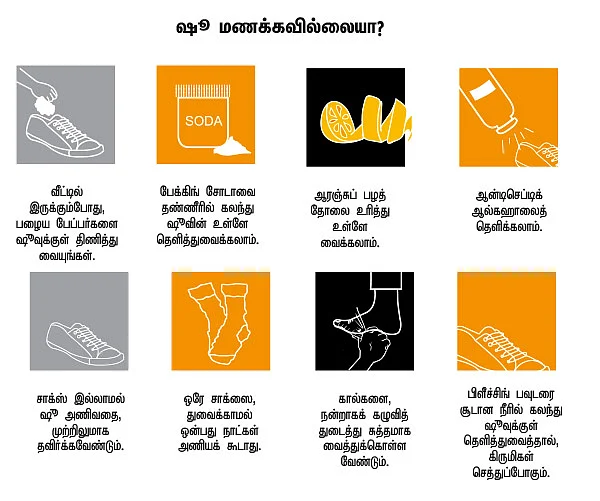 விகடன் சாய்ஸ்