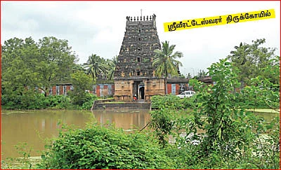 ஆரோக்கியம் அருளும் ஆலய விருட்சங்கள்!
