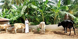 10 மாதங்களில் 1.5 லட்சம்