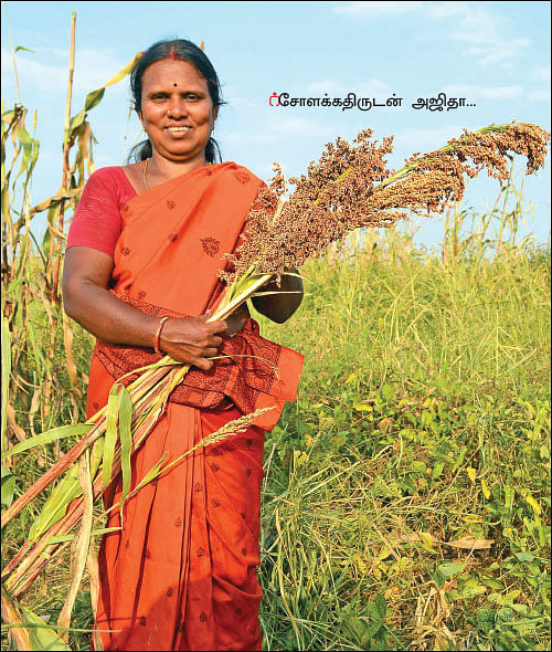 மானாவாரி விவசாயம்... - இயற்கையில் செழிக்கும் சிறுதானியங்கள்!