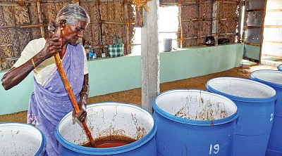 25 ஏக்கர்... மாதம் ரூ 11 லட்சம் லாபம்!