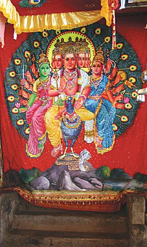வந்த வாழ்வும் வளர் புகழும் கந்தன் செயலன்றோ!