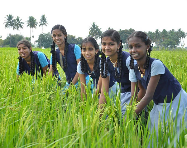 வயலுக்குச் சென்றோம் விவசாயம் படித்தோம்!