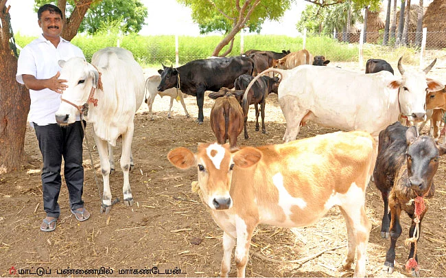 25 ஏக்கர்... மாதம் ரூ 11 லட்சம் லாபம்!