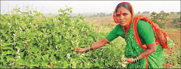 உலகம் சுற்றும் உழவு!