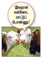 வில்லன் விலங்குகள்!