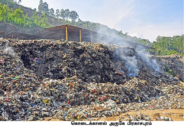 கொடைக்கானல் போறீங்களா? - குப்பைத் தொட்டியாக வரவேற்கும் மலைகளின் இளவரசி!