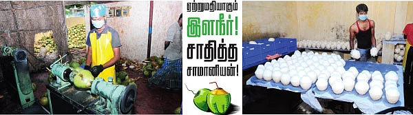 ஏற்றுமதியாகும் இளநீர் ! சாதித்த சாமானியன் !