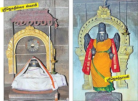 ஆரோக்கியம் அருளும் ஆலய விருட்சங்கள்!