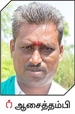 25 சென்ட்... ரூ 85 ஆயிரம்...! செழிப்பான வருமானம் கொடுக்கும் செடிமுருங்கை