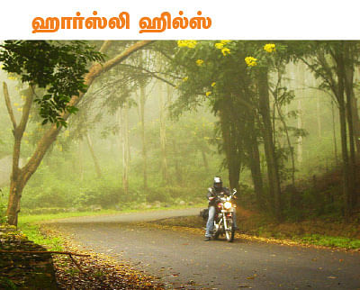 டூர் ஸ்பெஷல்