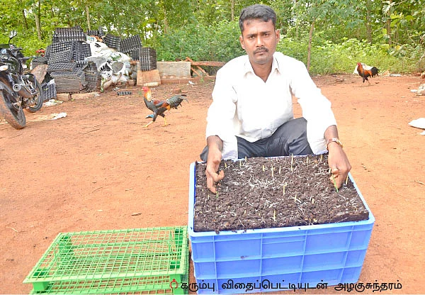 கரும்பு விதைப்பெட்டி... செலவு குறையுது... மகசூல் கூடுது!