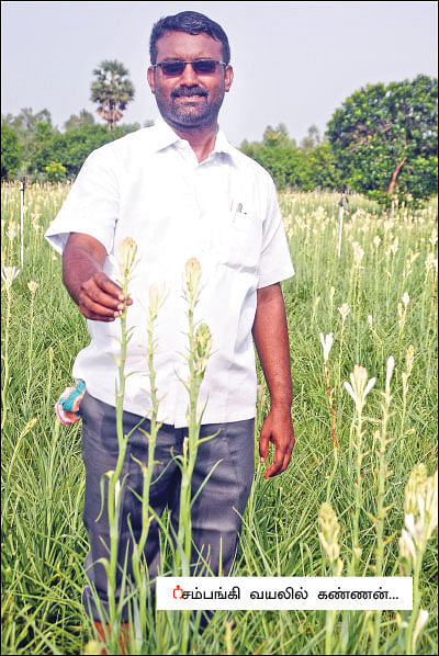 அன்று கல்லுக்கொல்லை... இன்று நெல்லுக்கொல்லை! - வீணான நிலம் விளைநிலமான கதை