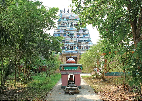 பசுக்களின் பிணிகள் நீங்கும் அதிசயம்!