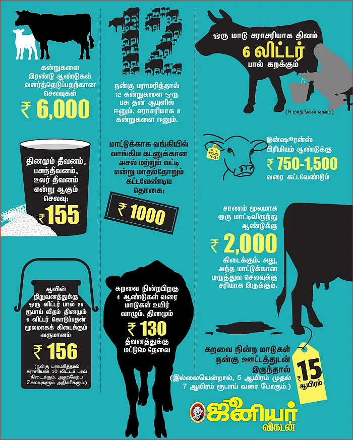 நல்ல மாட்டுக்கு ஒரு சூடு! - ஜூ.வி ஸ்பெஷல் ஸ்டோரி