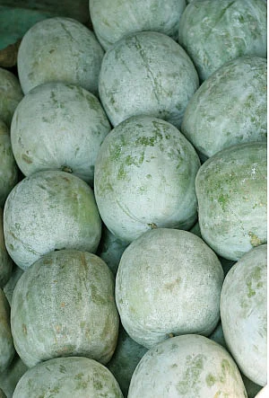 இயற்கை டாக்டர்