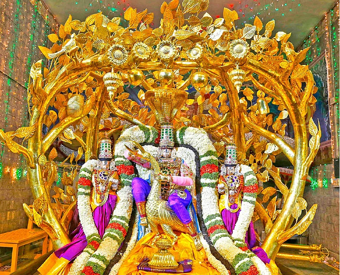 ஏற்றங்கள் தருவான் ஏழுமலையான்!