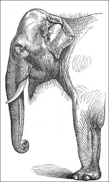 ஆட்டம் - கவிதை