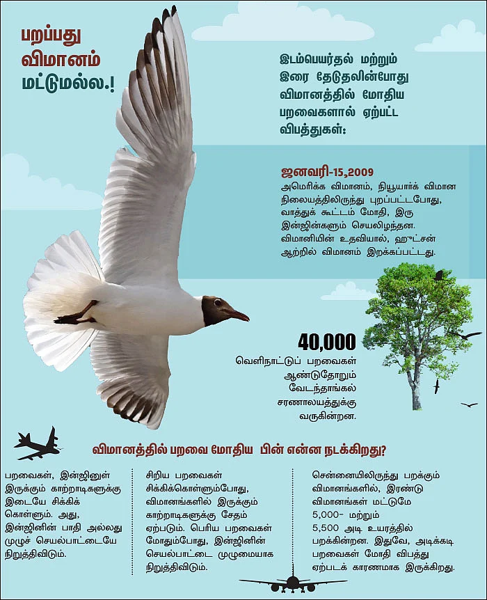 பறவைகள் - பறப்பது விமானம் மட்டுமல்ல.!