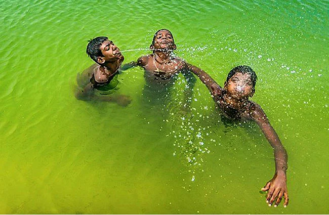 நீச்சல் கலை - மகுடேசுவரன்