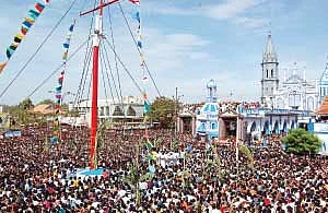 பிணி தீர்க்கும் பனிமய மாதா !