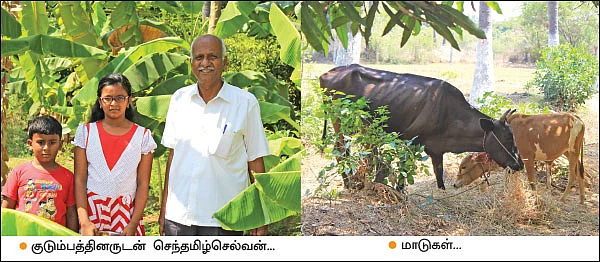 மா... தென்னை... எலுமிச்சை... காய்கறிகள்... ஆண்டுக்கு ரூ. 3,33,000 வருமானம்!