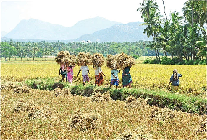 சிட்டா-அடங்கல் வாங்க லஞ்சம் தர வேண்டாம்!