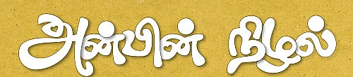 அன்பின் நிழல் - சிறுகதை