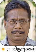 வீட்டுக்குள் விவசாயம் - 4
