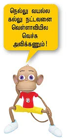 தங்கம்மாளும் தங்க நாற்கர சாலையும்