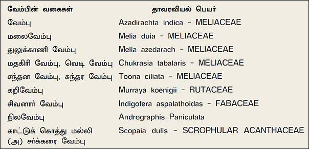 நல்மருந்து - தெரிந்த செடிகள்... தெரியாத பயன்கள்! - 8