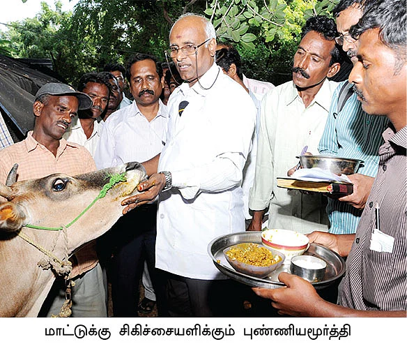 கொலைகார கோமாரி...இயற்கை முறையில் எளிய தீர்வு!