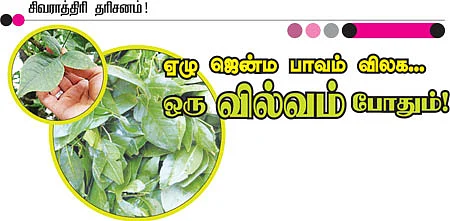 ஏழு ஜென்ம பாவம் விலக... ஒரு வில்வம் போதும்!