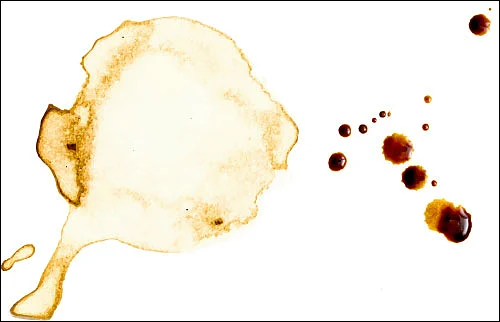 இந்திய - ஐரிஷ் கவிதை ஓர் அபூர்வ கவிதை அனுபவம் - இந்திரன்