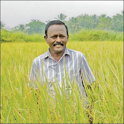 நாற்பது சென்ட்டில் நல்ல லாபம்! - அரசு அதிகாரியின் ஓய்வுக்கால விவசாயம்!