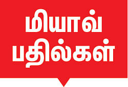மிஸ்டர் மியாவ்