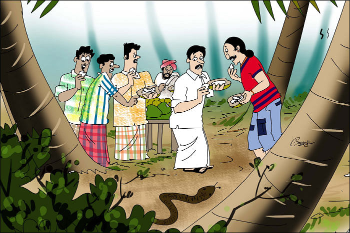 மண்புழு மன்னாரு : பருப்பு வாசனையும் பாம்பு வருகையும்!
