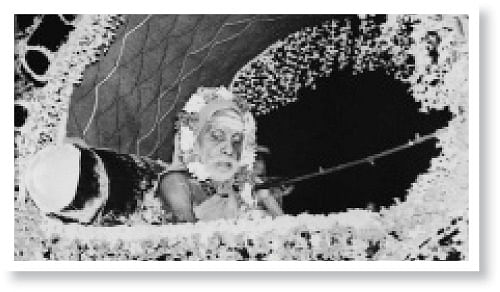 குருவே சரணம்... திருவே சரணம்!